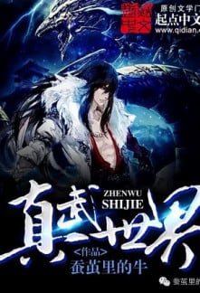 True Martial World cover
